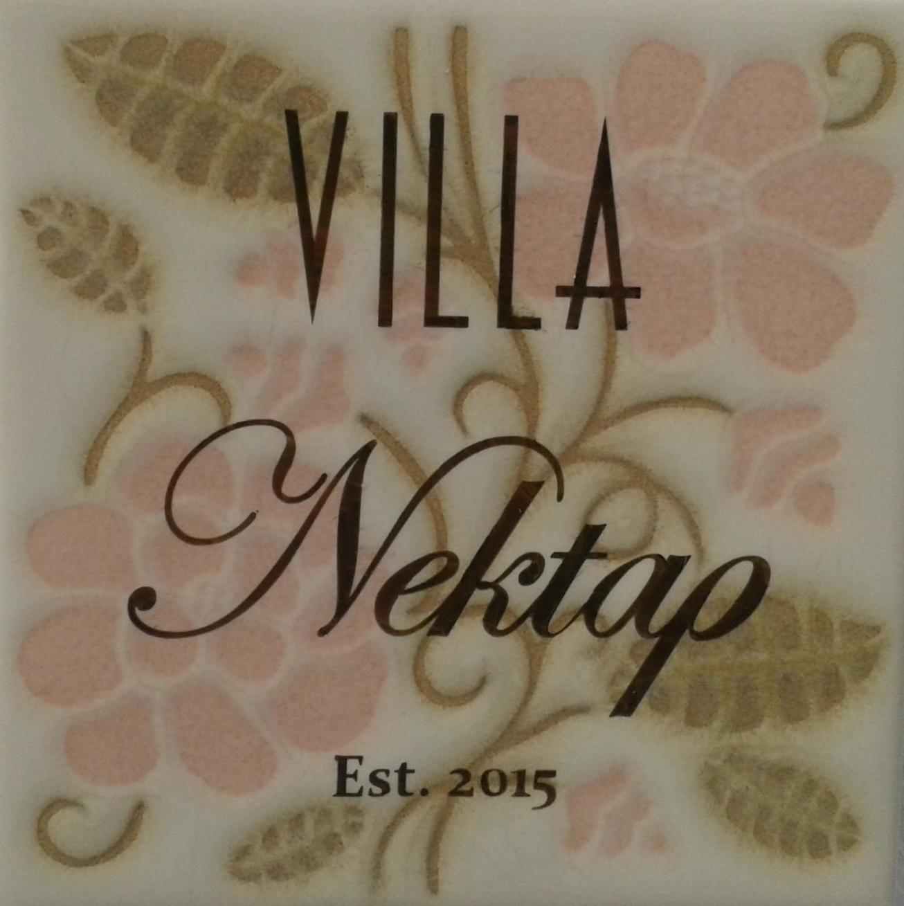 Villa Nektar, Luxury Apartment In Chora Naxos Naxos City المظهر الخارجي الصورة